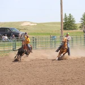 Meet your Posher, Cody